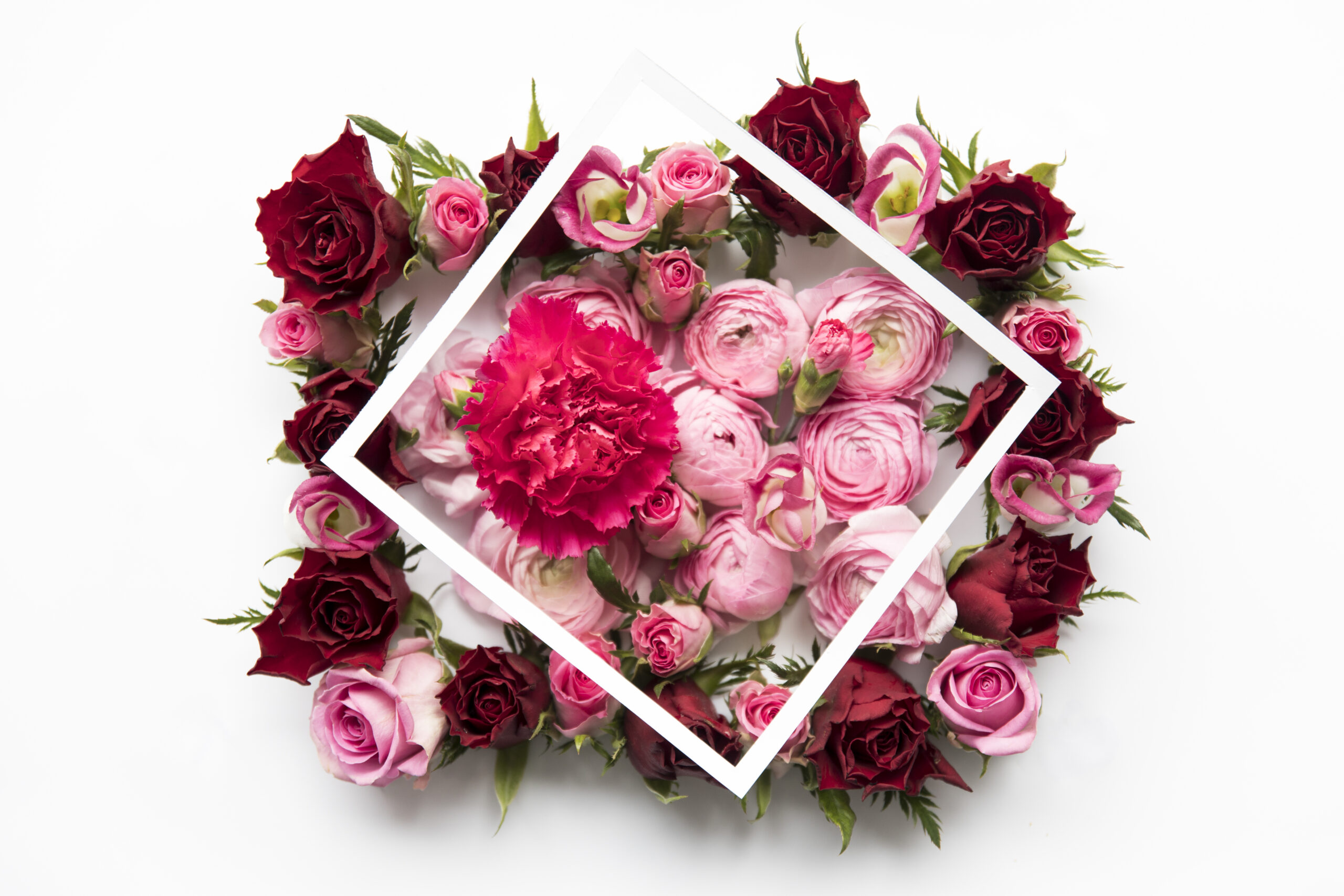 frame-carnation-peonies-roses