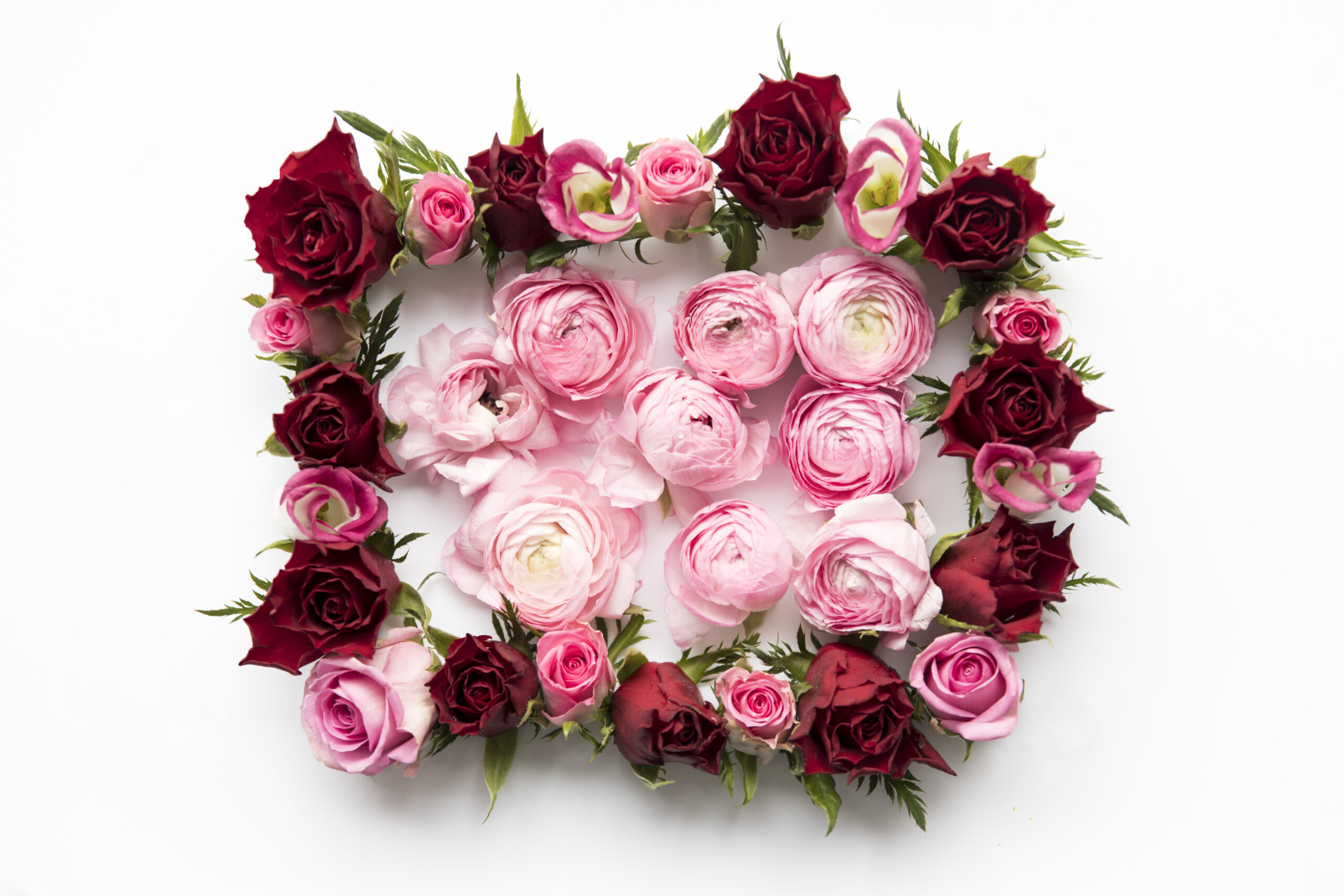 peonies-inside-rose-frame